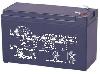  LP12-7.0, LEOCH, Rechargeable Battery, (12V7.0AH) 151*65*94* , 1.97kg.